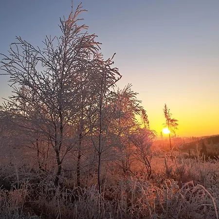 Viedenz شقة Drolshagen